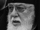 Католикос-Патриарх всея Грузии Илья II
